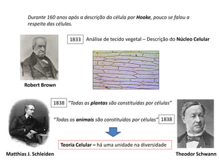 Durante 160 anos após a descrição da célula por Hooke, pouco se falou a
respeito das células.
Análise de tecido vegetal – Descrição do Núcleo Celular1833
Robert Brown
Matthias J. Schleiden
1838 “Todas as plantas são constituídas por células”
Theodor Schwann
1838“Todas os animais são constituídos por células”
Teoria Celular – há uma unidade na diversidade
 