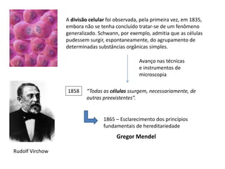 A divisão celular foi observada, pela primeira vez, em 1835,
embora não se tenha concluído tratar-se de um fenômeno
generalizado. Schwann, por exemplo, admitia que as células
pudessem surgir, espontaneamente, do agrupamento de
determinadas substâncias orgânicas simples.
1858
Rudolf Virchow
“Todas as células ssurgem, necessariamente, de
outras preexistentes”.
1865 – Esclarecimento dos princípios
fundamentais de hereditariedade
Gregor Mendel
Avanço nas técnicas
e instrumentos de
microscopia
 