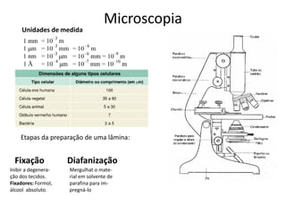 Microscopia
Unidades de medida
Etapas da preparação de uma lâmina:
Fixação
Inibir a degenera-
ção dos tecidos.
Fixadores: Formol,
álcool absoluto.
Diafanização
Mergulhat o mate-
rial em solvente de
parafina para im-
pregná-lo
 