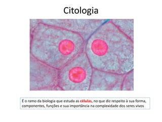 Citologia
É o ramo da biologia que estuda as células, no que diz respeito à sua forma,
componentes, funções e sua importância na complexidade dos seres vivos
 