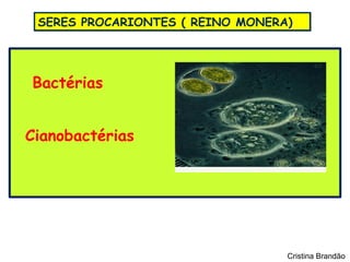 SERES PROCARIONTES ( REINO MONERA)




Bactérias


Cianobactérias




                                  Cristina Brandão
 