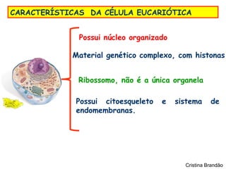 CARACTERÍSTICAS DA CÉLULA EUCARIÓTICA


              Possui núcleo organizado

            Material genético complexo, com histonas


             Ribossomo, não é a única organela

             Possui citoesqueleto   e    sistema     de
             endomembranas.




                                           Cristina Brandão
 