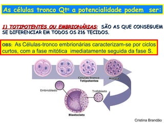 As células tronco Qto a potencialidade podem ser:

1) TOTIPOTENTES OU EMBRIONÁRIAS: SÃO AS QUE CONSEGUEM
SE DIFERENCIAR EM TODOS OS 216 TECIDOS.

OBS: As Células-tronco embrionárias caracterizam-se por ciclos
curtos, com a fase mitótica imediatamente seguida da fase S.




                                                     Cristina Brandão
 