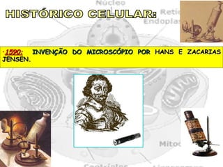 •1590:  INVENÇÃO DO MICROSCÓPIO POR HANS E ZACARIAS
JENSEN.
 
