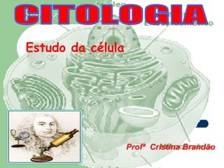 Estudo da célula




                   Profª Cristina Brandão
 