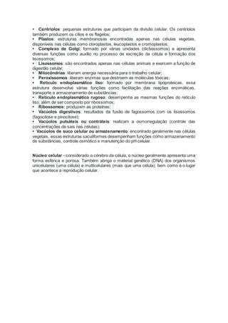• Centríolos: pequenas estruturas que participam da divisão celular. Os centríolos
também produzem os cílios e os flagelos;
• Plastos: estruturas membranosas encontradas apenas nas células vegetais,
disponíveis nas células como cloroplastos, leucoplastos e cromoplastos;
• Complexo de Golgi: formado por várias unidades (dictiossomos) e apresenta
diversas funções como auxílio no processo de excreção da célula e formação dos
lisossomos;
• Lisossomos: são encontrados apenas nas células animais e exercem a função de
digestão celular;
• Mitocôndrias: liberam energia necessária para o trabalho celular;
• Peroxissomos: liberam enzimas que destroem as moléculas tóxicas;
• Retículo endoplasmático liso: formado por membrana lipoproteicas, essa
estrutura desenvolve várias funções como facilitação das reações enzimáticas,
transporte e armazenamento de substâncias;
• Retículo endoplasmático rugoso: desempenha as mesmas funções do retículo
liso, além de ser composto por ribossomos;
• Ribossomos: produzem as proteínas;
• Vacúolos digestivos: resultados da fusão de fagossomos com os lisossomos
(fagocitose e pinocitose);
• Vacúolos pulsáteis ou contráteis: realizam a osmorregulação (controle das
concentrações de sais nas células);
• Vacúolos de suco celular ou armazenamento: encontrado geralmente nas células
vegetais, essas estruturas saculiformes desempenham funções como armazenamento
de substâncias, controle osmótico e manutenção do pH celular.
Núcleo celular - considerado o cérebro da célula, o núcleo geralmente apresenta uma
forma esférica e porosa. Também abriga o material genético (DNA) dos organismos
unicelulares (uma célula) e multicelulares (mais que uma célula), bem como é o lugar
que acontece a reprodução celular.
 