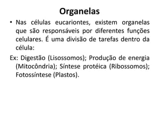 Organelas
• Nas células eucariontes, existem organelas
que são responsáveis por diferentes funções
celulares. É uma divisão de tarefas dentro da
célula:
Ex: Digestão (Lisossomos); Produção de energia
(Mitocôndria); Síntese protéica (Ribossomos);
Fotossíntese (Plastos).
 