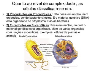 Quanto ao nível de complexidade , as
células classificam-se em:
• 1) Procariontes ou Procarióticas : Não possuem núcleo, nem
organelas, sendo bastante simples. E o material genético (DNA)
está organizado no citoplasma. São as bactérias
• 2) Eucariontes ou Eucarióticas: Possuem núcleo, no qual o
material genético está organizado, além de várias organelas
com funções específicas. Exemplos: células de plantas e
animais
 