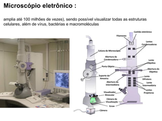 Microscópio eletrônico :
amplia até 100 milhões de vezes), sendo possível visualizar todas as estruturas
celulares, além de vírus, bactérias e macromoléculas
 