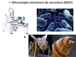 • Microscópio eletrônico de varredura (MEV)
 