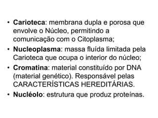 • Carioteca: membrana dupla e porosa que
envolve o Núcleo, permitindo a
comunicação com o Citoplasma;
• Nucleoplasma: massa fluída limitada pela
Carioteca que ocupa o interior do núcleo;
• Cromatina: material constituído por DNA
(material genético). Responsável pelas
CARACTERÍSTICAS HEREDITÁRIAS.
• Nucléolo: estrutura que produz proteínas.
 