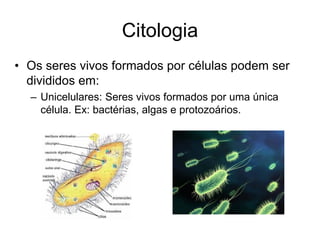 Citologia
• Os seres vivos formados por células podem ser
divididos em:
– Unicelulares: Seres vivos formados por uma única
célula. Ex: bactérias, algas e protozoários.
 