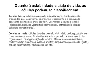 Quanto à estabilidade e ciclo de vida, as
células podem se classificar em:
• Células lábeis: células dotadas de ciclo vital curto. Continuamente
produzidas pelo organismo, permitem o crescimento e a renovação
constante dos tecidos onde ocorrem. Exemplos: glóbulos brancos
(leucócitos), glóbulos vermelhos (hemácias ou eritrócitos) e células
epiteliais (revestimento).
Células estáveis: células dotadas de ciclo vital médio ou longo, podendo
durar meses ou anos. Produzidas durante o período de crescimento do
organismo ou na regeneração de tecidos . Dentre as células estáveis,
podemos citar: osteócitos (ósseas adultas), hepatócitos (células do fígado),
células pancreáticas, musculares lisa etc.
 