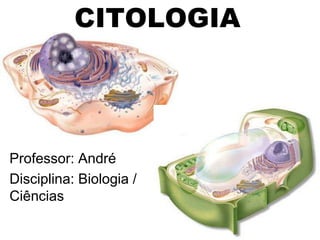 CITOLOGIA
Professor: André
Disciplina: Biologia /
Ciências
 