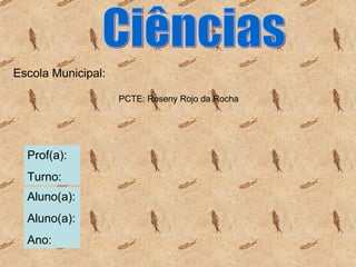 Escola Municipal: Aluno(a): Aluno(a): Ano: Ciências Prof(a): Turno: PCTE: Roseny Rojo da Rocha 