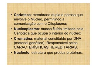 • Carioteca: membrana dupla e porosa que
  envolve o Núcleo, permitindo a
  comunicação com o Citoplasma;
• Nucleoplasma: massa fluída limitada pela
  Carioteca que ocupa o interior do núcleo;
• Cromatina: material constituído por DNA
  (material genético). Responsável pelas
  CARACTERÍSTICAS HEREDITÁRIAS.
• Nucléolo: estrutura que produz proteínas.
 