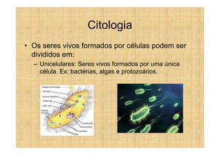 Citologia
• Os seres vivos formados por células podem ser
  divididos em:
  – Unicelulares: Seres vivos formados por uma única
    célula. Ex: bactérias, algas e protozoários.
 