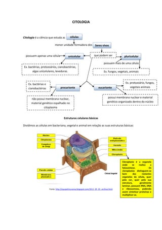 CITOLOGIA
Citologia é a ciência que estuda as
menor unidade formadora dos
possuem apenas uma célula
possuem mais de uma célula
Estruturas celulares básicas
Dividimos as células em bacteriana, vegetal e animal em relação as suas estruturas básicas:
Fonte: http://equipefuturama.blogspot.com/2011_05_01_archive.html
células
Seres vivos
que podem serunicelular pluricelular
Ex. bactérias, protozoários, cianobactérias,
algas unicelulares, leveduras. Ex. fungos, vegetais, animais
eucarionteprocarionte
não possui membrana nuclear,
material genético espalhado no
citoplasma
possui membrana nuclear e material
genético organizado dentro do núcleo
Ex. bactérias e
cianobactérias
Ex. protozoário, fungos,
vegetais animais
Cloroplasto é a organela
onde se realiza a
fotossíntese. Os
cloroplastos distinguem-se
bem dos restantes
organelos da célula, quer
pela cor, quer pela sua
estrutura, geralmente
laminar, possuem RNA, DNA
e ribossomoss, podendo
assim sintetizar proteínas e
multiplicar-se.
 