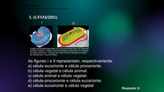 5. (UFSM/2001)
As figuras I e II representam, respectivamente:
a) célula eucarionte e célula procarionte.
b) célula vegetal e célula animal.
c) célula animal e célula vegetal.
d) célula procarionte e célula eucarionte.
e) célula eucarionte e célula vegetal
Resposta: A
Ciências, 8º Série
Características gerais da célula e suas estruturas
Imagens da esquerda para direita: (a) uma célula animal típica com organelas
rotuladas / Mediran / Creative Commons Attribution-Share Alike 3.0 Unported
(b) célula procarionte / Traduzido por Felipe Fontoura, baseado na imagem
de Mariana Ruiz / Domínio Público.
I II
 