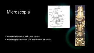 • Microscópio óptico (até 2.000 vezes);
• Microscópio eletrônico (até 100 milhões de vezes).
Microscopia
 