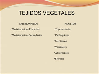 TEJIDOS VEGETALES
EMBRIONARIOS

ADULTOS

•Meristemáticos Primarios

•Tegumentario

•Meristemáticos Secundarios

•Parénquimas
•Mecánicos
•Vasculares
•Absorbentes
•Secretor

 