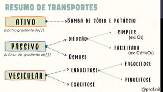 (ex: C2H12O6)
(ex: O2)
(contra gradiente de [ ] )
(a favor do gradiente de [ ] )
 