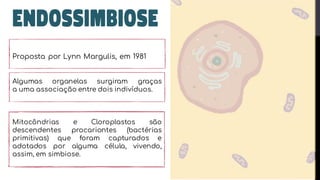 Proposta por Lynn Margulis, em 1981
Algumas organelas surgiram graças
a uma associação entre dois indivíduos.
Mitocôndrias e Cloroplastos são
descendentes procariontes (bactérias
primitivas) que foram capturados e
adotados por alguma célula, vivendo,
assim, em simbiose.
 
