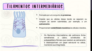 • Formado por um conjunto deproteínas.
• Impede que as células desse tecido se separem ou
rompam ao serem submetidas, por exemplo, a um
estiramento.
• Proporcionam estabilidade mecânica às células e tecidos.
• Os filamentos intermediários são polímeros fortes
semelhantes a cabos, constituídos de
polipepetídeos fibrosos que resistem ao estiramento
e desempenham um papel estrutural na célula,
mantendo sua integridade.
 