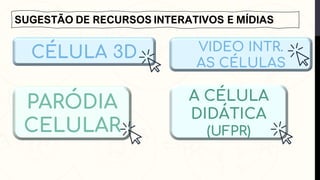 SUGESTÃO DE RECURSOS INTERATIVOS E MÍDIAS
CÉLULA 3D
PARÓDIA
CELULAR
A CÉLULA
DIDÁTICA
(UFPR)
VIDEO INTR.
AS CÉLULAS
 