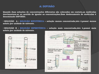  COLESTEROL (presente apenas em alguns protistas e nos animais)