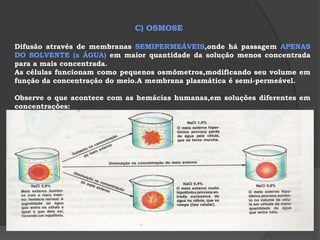 OBS! GLICOCÁLIX:é uma camada mucogelatinosa que reveste a face externa de muitas membranas.Ele é formado pelos radicais glicídios das glicoproteínas e atua "retendo“ moléculas ou partículas pequeníssimas que tocam a superfície da célula a fim de que sejam,depois sugadas para o meio intracelular. FUNÇÃO: PERMEABILIDADE SELETIVA – propriedade que a membrana tem de CONTROLAR o que entra e sai da célula,permitindo que a composição química do meio intracelular se mantenha constante,mesmo diante das variações de composição do meio externo. – FISIOLOGIA DA MEMBRANA PLASMÁTICA  – Transporte através de membranas – trocas entre as células e o meio extracelular.A célula,sendo uma estrutura viva,precisa receber alimentos e oxigênio para a realização de suas funções vitais.Precisa também eliminar os produtos do seu metabolismo. As membranas permitem essas trocas entre o meio intracelular e o meio extracelular.