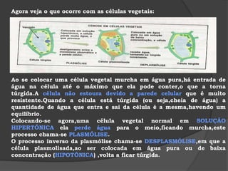 A membrana plasmática permite a passagem de água e de pequenas moléculas,como o oxigênio,e dificulta,ou mesmo impede a passagem de moléculas grandes,como as proteínas.Os processos de troca na célula podem ser agrupados em 4 categorias:PROCESSOS PASSIVOS:ocorrem sem gasto de energia.São eles:difusão,difusão facilitada e osmose.