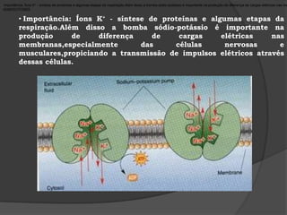 ENDOCITOSES:processos que permitem a ingestão de substâncias com dimensões maiores,que atravessam a membrana plasmática.São eles a fagocitose e a pinocitose.
