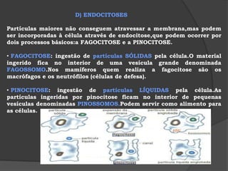 EXOCITOSES:processos que permitem a eliminação de substâncias com dimensões maiores,que não atravessam a membrana plasmática. 