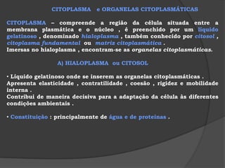  C) OSMOSE Difusão através de membranas SEMIPERMEÁVEIS,onde há passagem APENAS DO SOLVENTE (a ÁGUA) em maior quantidade da solução menos concentrada para a mais concentrada.As células funcionam como pequenos osmômetros,modificando seu volume em função da concentração do meio.A membrana plasmática é semi-permeável.Observe o que acontece com as hemácias humanas,em soluções diferentes em concentrações: