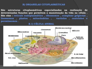 D) TRANSPORTE PASSIVO Os processos ativos ocorrem graças ao fornecimento de energia do metabolismo celular.Nestes processos,observa-se movimento de solutos CONTRA gradiente de concentração,ou seja,há movimento de moléculas do soluto da solução MENOS concentrada para a mais concentrada.Os processos ativos não ocorrem através da membrana de celulose pois é inerte.Exemplo BOMBA de Na-K Temos uma maior quantidade de íons sódio (Na+) no líquido EXTRACELULAR. Já o íon potássio (K+) ocorre no meio INTRACELULAR. O processo ativo que permite a manutenção dessa concentração diferencial de íons é chamada de BOMBA Na-K. Utilizando ENERGIA,os íons sódio,que penetram na célula por difusão são levados para o meio intracelular.A manutenção de maior concentração de K+ no interior da célula e o de Na+ fora da célula é fundamental para o metabolismo celular.Para cada 3 íons Na+ bombeados apenas 2 íons K+ vão para dentro da célula. (Logo a relação Na:K é  de 3:2). 