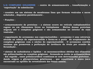 E) EXOCITOSE É a eliminação de substâncias de dentro das células.Os materiais ficam no interior de vesículas no citoplasma.Essas vesículas fundem-se com a membrana plasmática,eliminando seus conteúdos.Por exocitose são eliminadas secreções importantes que atuam em diversas etapas do metabolismo de nosso corpo.É portanto um processo frequentenas células com função secretora,tais como as células do pâncreas que secretam o glucacon e a insulina. OBS! CLASMOCITOSE – eliminação de resíduos do material ingerido por pinocitose e fagocitose.Também chamada de defecação celular. 