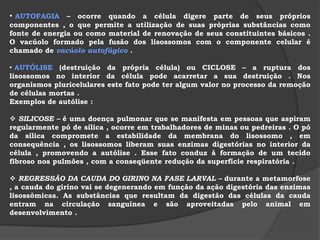 CITOPLASMA   e ORGANELAS CITOPLASMÁTICAS  CITOPLASMA– compreende a região da célula situada entre a membrana plasmática e o núcleo , é preenchido por um líquidogelatinoso , denominado hialoplasma, também conhecido por citosol , citoplasma fundamental  ou matriz citoplasmática .Imersas no hialoplasma , encontram-se as organelas citoplasmáticas.  A) HIALOPLASMA  ou CITOSOL  Líquido gelatinoso onde se inserem as organelas citoplasmáticas . Apresenta elasticidade , contratilidade , coesão , rigidez e mobilidade interna .Contribui de maneira decisiva para a adaptação da célula às diferentes condições ambientais .  Constituição: principalmente de água e de proteínas .  