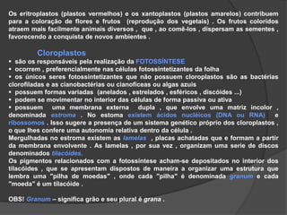 MICROTÚBULOS– constituídos por proteínas contráteis chamadas de ACTINA  , participam na contração das células musculares , nos movimentos amebóides e na ciclose celular .