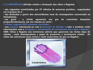 b.1) RETÍCULO ENDOPLASMÁTICO   (rede de distribuição de substâncias)   possui membranas lipoprotéicas .
