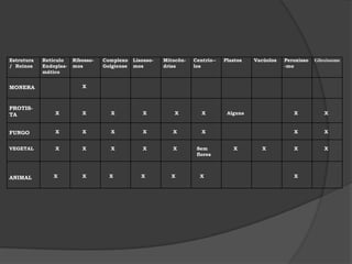 Retículo Endoplasmático Liso – sem ribossomos aderidos à sua membrana.    Funções :  aumenta a superfície interna da célula,o que amplia o campo de ação das enzimas , facilitando a ocorrência de reações químicas necessárias ao metabolismo celular .