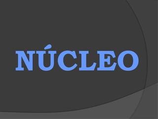  facilita o intercâmbio de substâncias entre a célula e o meio externo . 