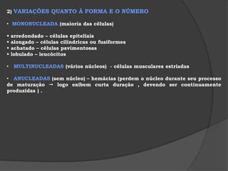  armazena substâncias diversas no interior de certas cavidades . 