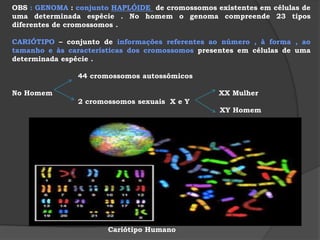  função : digestão intracelular .   