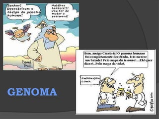  algumas enzimas migram até o complexo golgiense , onde ficam armazenadas. Das bolsas e cisternas do complexo golgiense desprendem-se vesículas cheias de enzimas digestórias , que podem ser exportadas pela  célula ou promover a digestão de substâncias englobadas por fagocitose (partículas sólidas) ou pinocitose (partículas líquidas) . Nesse caso,essas pequenas vesículas portadoras de enzimas digestórias são denominadas lisossomos  ou lisossomos primários . Os lisossomos aproximam-se do fagossomo ou pinossomo (pequeno vacúolo formado pela partícula englobada pela célula através da emissão de pseudópodes) , e com ele se fundem , liberando suas enzimas digestivas. Assim , forma-se o vacúolo digestório, também chamado de lisossomo secundário  .   A digestão do material ingerido e a conseqüente absorção de substâncias aproveitáveis pela célula ocorrem no interior do vacúolo digestório .Após a absorção das partículas úteis , restarão no interior do vacúolo digestório resíduos diversos , que devem ser eliminados para o meio externo . O vacúolo digestório passa , então , a ser denominado de vacúolo residual ou vesícula  de clasmocitose .  