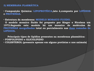  resistência à decomposição por microorganismos 