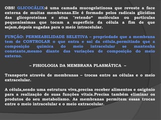 3) MEMBRANA PLASMÁTICA  Composição Química: LIPOPROTÉICA,isto é,composta por LIPÍDIOS e PROTEÍNAS.