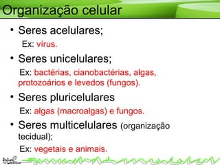 Organização celular
• Seres acelulares;
Ex: vírus.
• Seres unicelulares;
Ex: bactérias, cianobactérias, algas,
protozoários e levedos (fungos).
• Seres pluricelulares
Ex: algas (macroalgas) e fungos.
• Seres multicelulares (organização
tecidual);
Ex: vegetais e animais.
 