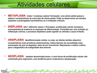 Atividades celulares
• METAPLASIA (meta = mudança; plasia= formação): uma célula adulta passa a
adquirir características de outro tipo de célula adulta. Pode se desenvolver em tecidos
expostos a prolongados traumatismos ou a irritações crônicas.
• DISPLASIA (dis = diferente; plasia = formação): proliferação celular excessiva,
acompanhada de ausência ou escassez de diferenciação. Precedido por uma irritação ou
inflamação crônica, o processo displásico pode regredir se retirada a causa irritante.
• ANAPLASIA desdiferenciação celular, ou seja, as células adultas adquirem
características mais primitivas (embrionárias). Indica desvios da normalidade mais
acentuados do que na displasia, além de ser irreversível. Representa o melhor critério
para o diagnóstico de malignidade dos tumores
• NEOPLASIA também denominada tumor, é uma forma de proliferação celular não
controlada pelo organismo, com tendência para a autonomia e perpetuação.
 