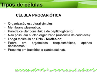 Tipos de células
• Organização estrutural simples;
• Membrana plasmática;
• Parede celular constituída de peptídioglicano;
• Não possuem núcleo organizado (ausência de carioteca);
• Longa molécula de DNA - Nucleóide;
• Pobre em organoides citoplasmáticos, apenas
ribossomos;
• Presente em bactérias e cianobactérias.
CÉLULA PROCARIÓTICACÉLULA PROCARIÓTICA
 